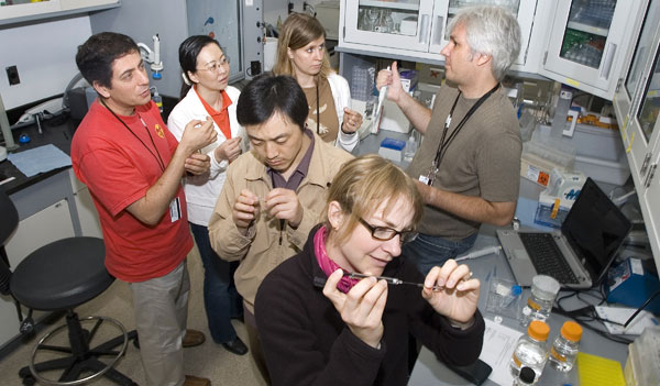 Practical Session, 2007 'Crystallization: focus on' Course