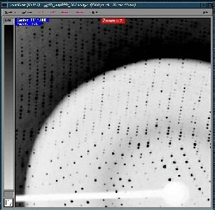 Normal image