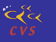 Concurrent Version Systems