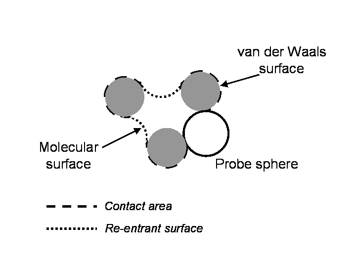 Figure 2: molecular surface and contact area