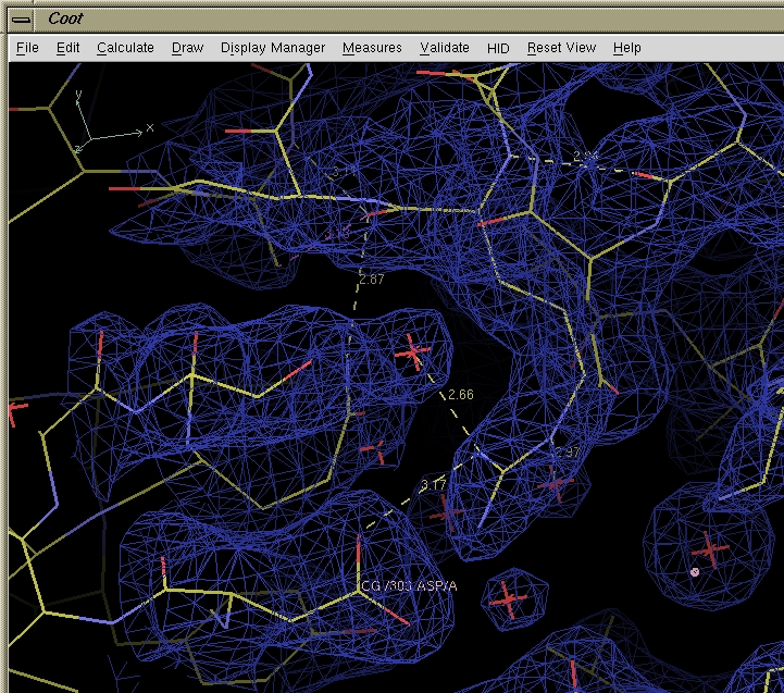 coot software what are the dots